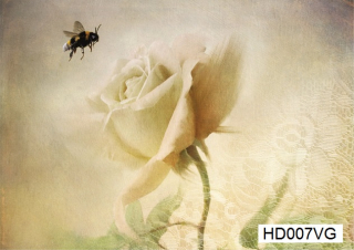Декупажная карта А4 Hobby-Decor, HD007VG