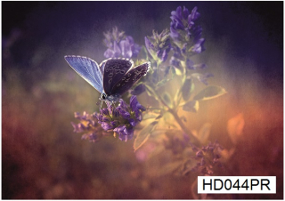 Декупажная карта А4 Hobby-Decor, HD044PR